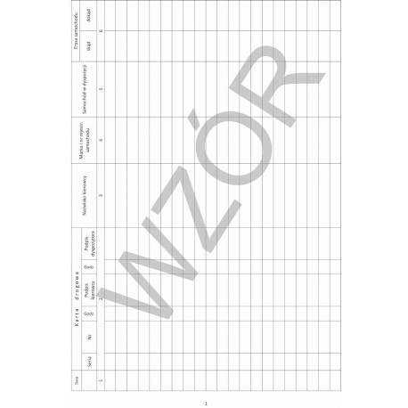 Raport Dyspozytorski ZRM