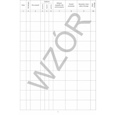 Dziennik Pracy Transportu Sanitarnego