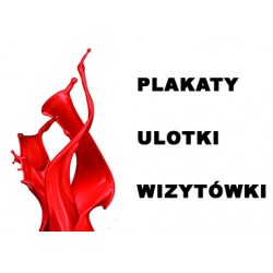 Wizytówki - 250 sztuk